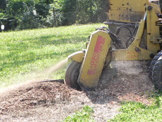 stump grinding tree services