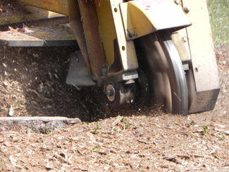 stump grinding and removal