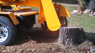 stump grinder