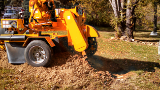 stump grinding
