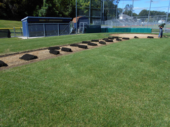 athletic field sod installation nj