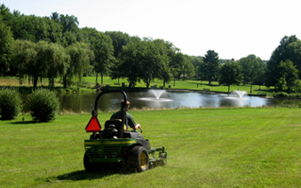 municipal property landscaping